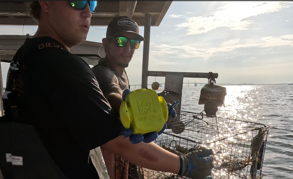 Crabs and Water Quality